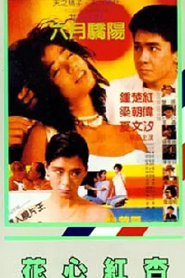 91精品欧美一区二区综合在线