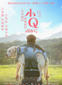 99久久精品国产免看国产一区